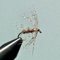 Soft Hackle